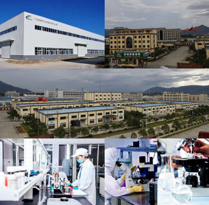 Màu sơn xe ô tô màu xanh lá cây lớp phủ trên với các cơ sở tiên tiến
