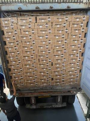 Vẻ ngoài sơn xe tự động với lớp sơn hoàn thiện màu xanh lá cây, có khả năng chống mài mòn và trầy xước