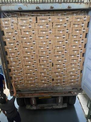 MSDS Sơn kim loại kim cương màu trắng Kháng nấm mốc thực tế